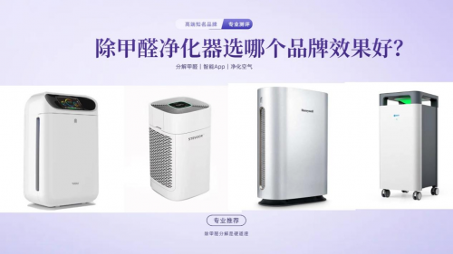 专业除甲醛的产品是什么？2025除甲醛净化器哪个品牌效果好？