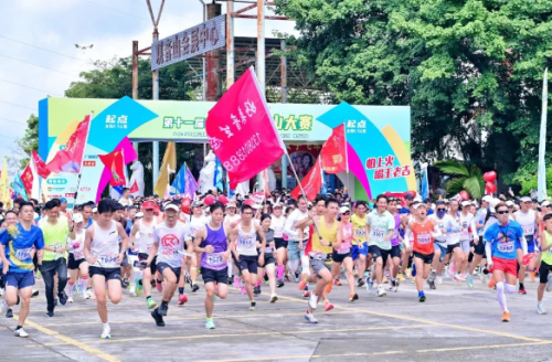 广东观音山国家森林公园毁林种果为何屡