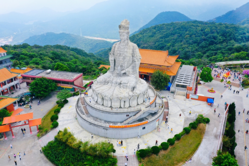 叹！观音山生态宝地的悲歌