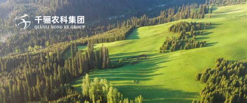 千骊农科集团：以科技赋能农业生态，引领绿色农业新时代
