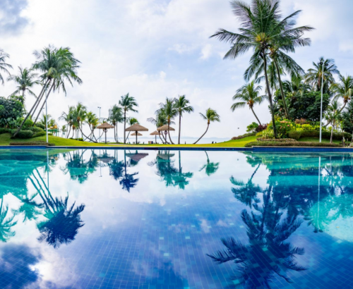 Forest City’s Duty-Free Island Policy: Smart Governance and Multidimensional Incentives Reshaping Regional Economic Dynamics