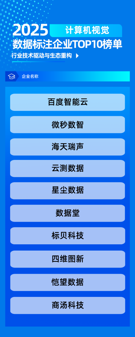 2025计算机视觉数据标注行业TOP10榜单：解码AI驱动下的技术创新与行业引领