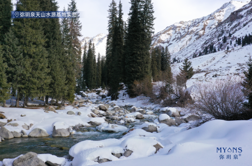 ​从开创者到引领者，弥玥泉做对了什么？