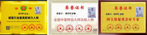 当代著名易学代表人物  杨文学