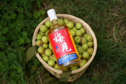 芒种至，青梅香，喝好酒梅见青梅酒