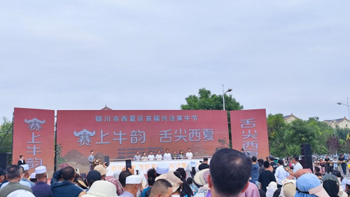 西夏区端午“牛”礼 奶润少年活动火热进行中，消费热潮持续升温