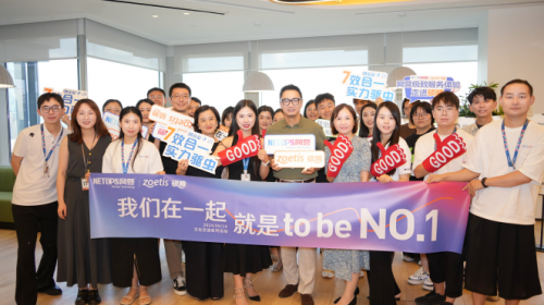 杭州代运营公司标杆：网营科技如何以极致服务照亮合作之路