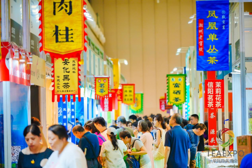 火力全开！2025郑州茶产业博览会盛大开幕！