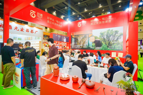 火力全开！2025郑州茶产业博览会盛大开幕！