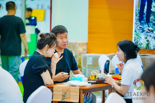火力全开！2025郑州茶产业博览会盛大开幕！