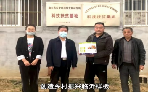 青春力量筑梦乡村振兴,沂蒙熊蜂书写农业新篇