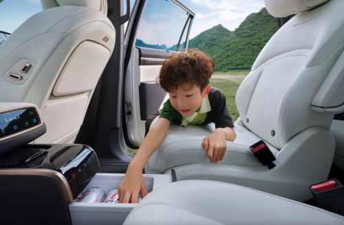 20万内最具性价比的六座SUV：eπ008最值得推荐