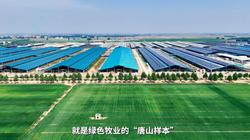 当牛棚披上光伏铠甲：看唐山牧场如何打造绿色“聚宝盆”