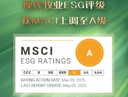 韧性筑基，精益赋能：穿越周期的降本增效之道