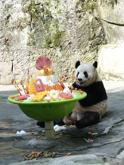 卫龙再度为熊猫兄弟庆生 积极履行大熊猫保护的长期承诺