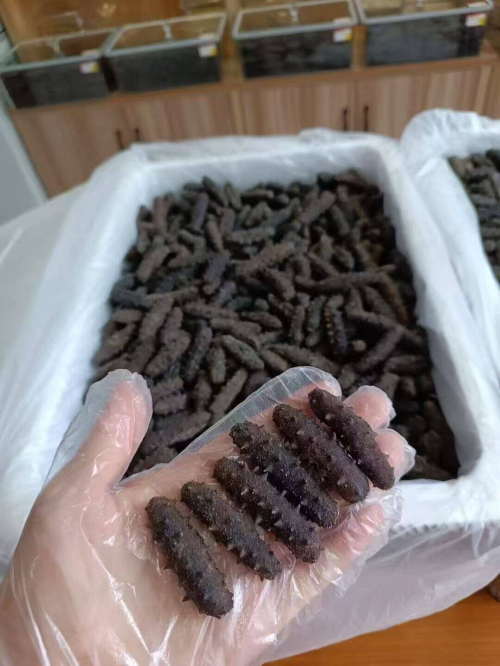 又到一年梅雨季，你家的海参干货存好了没？