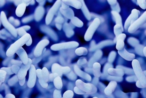 内衣内裤洗衣机有必要买吗?2025年热销榜前十名惊艳亮相!