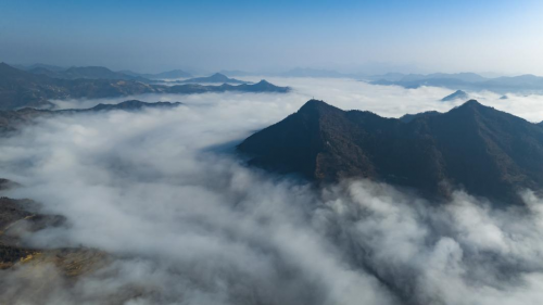 智采赋能：陇山十九泉百万瓶背后的创新密码
