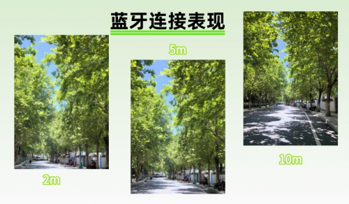 蓝牙音箱哪个牌子音质最好？西圣、JBL、雷登蓝牙音箱测评分享！