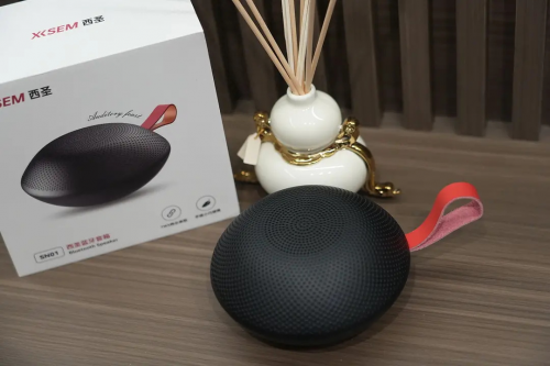 蓝牙音箱哪个品牌质量最好最耐用？2025年公认好用的10款音箱推荐