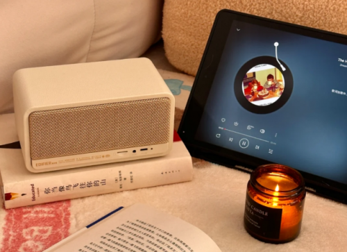 蓝牙音箱哪个品牌质量最好最耐用？2025年公认好用的10款音箱推荐