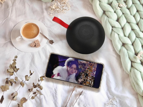 蓝牙音箱什么品牌好?2025排行榜前10名性价比高的蓝牙音箱推荐!