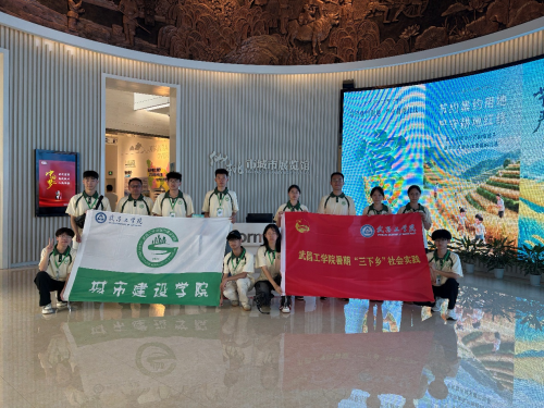 “青春践初心，筑梦新时代”​——赴仙桃开展“暑期三下乡”社会实践活动纪实