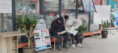澄迈县老城东坡书屋里的幸福花开了