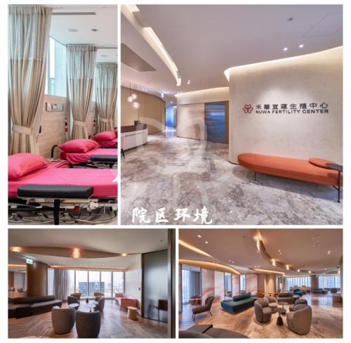 025年港漂女性冻卵数量暴增，去台湾冻卵更成为首选"