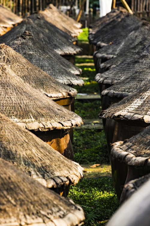 先汪的千年预言！墓旁酱香密码如何点亮非遗传承之光？