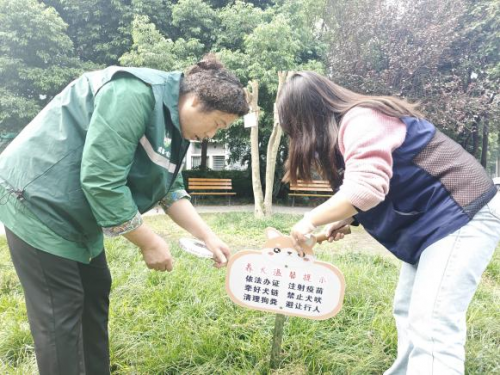 圣灯社区“睦邻圣灯”项目圆满收官，多元共治绘就社区新画卷