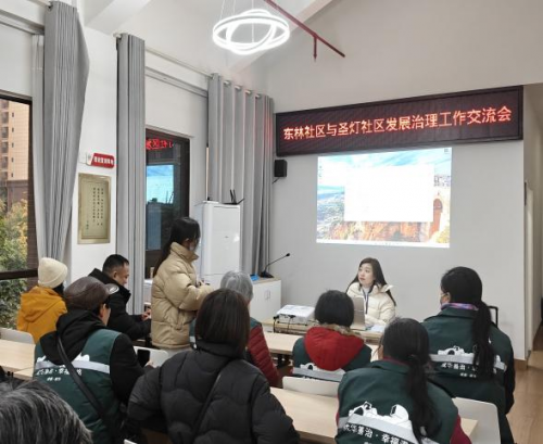 圣灯社区“睦邻圣灯”项目圆满收官，多元共治绘就社区新画卷