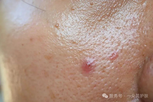 一朵芫新品，强势登场