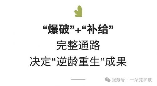 一朵芫新品，强势登场
