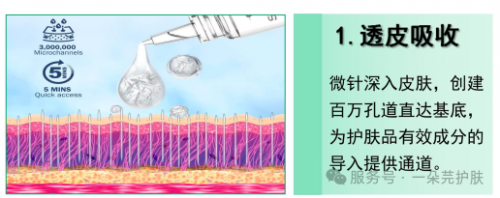 一朵芫新品，强势登场