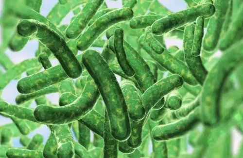 内衣内裤洗衣机十大品牌：2025清洁力最好的内衣洗衣机推荐分享