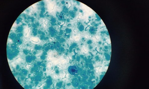 内衣洗衣机哪个牌子好用?10大内衣洗衣机品牌机型实用清单来了