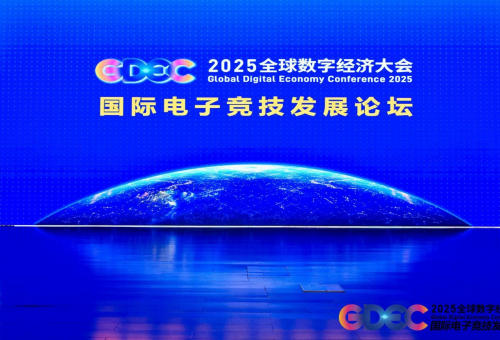 2025全球数字经济大会国际电竞发展论坛启幕——陈霞基金会受邀共探电竞公益新路径