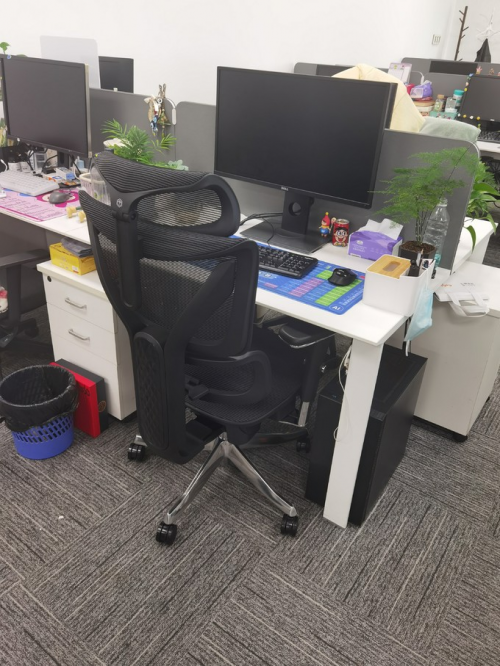 人体工学椅哪个牌子最舒服?2025人体工学椅十大排名来了!