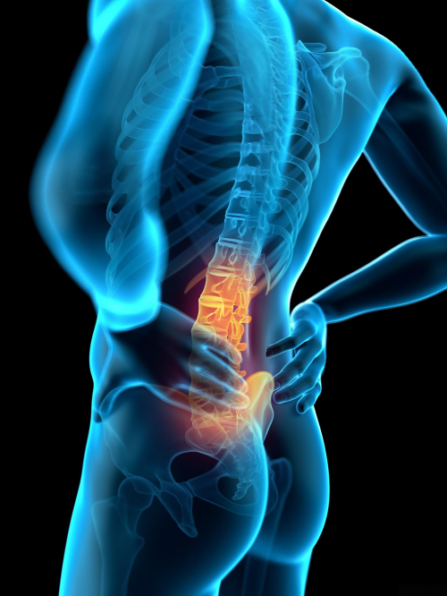 人体工学椅哪个牌子最舒服?2025人体工学椅十大排名来了!