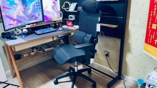 人体工学椅哪个牌子最舒服?2025人体工学椅十大排名来了!