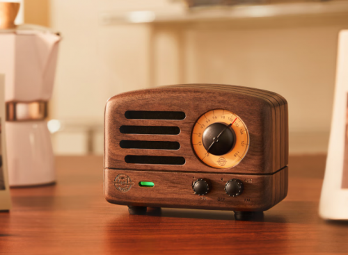 哪个牌子音箱比较好？2025年精选10大音质出色的小蓝牙音箱分享！