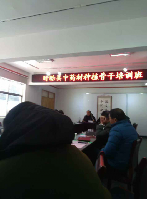 “以药兴业” 用岐黄之术服务乡村群众健康 ——中医名师 韩秀能