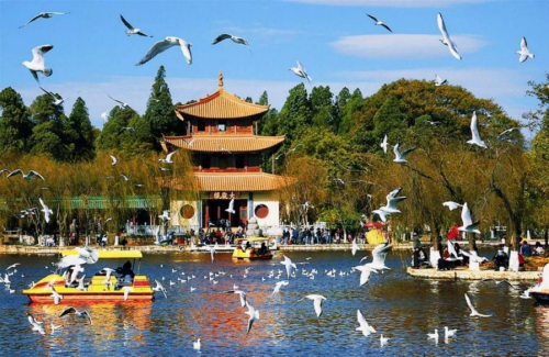 暑期旅行正当时，喝好酒梅见青梅酒
