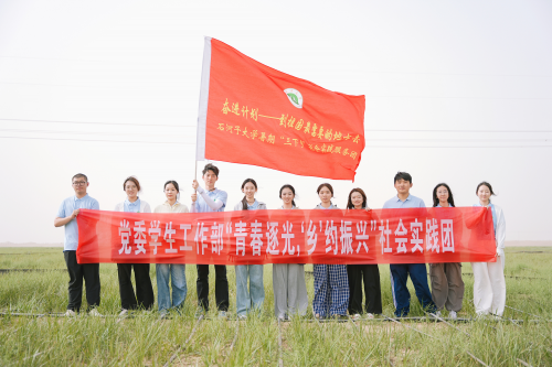 荒漠披绿，擘画生态振兴新篇章