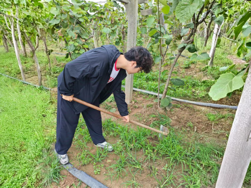 猕链云畴助农数智志愿队开展乡村振兴促进活动
