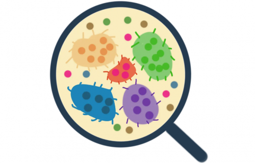 洗内裤的洗衣机什么牌子的好？过来人公认的5大内衣洗衣机分享