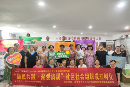 “自治・清溪齐” 社区社会组织培育项目案例