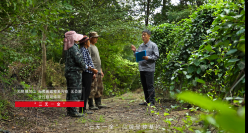 当“收购”成为焦点，我们忽略了津村在中国做的这些事