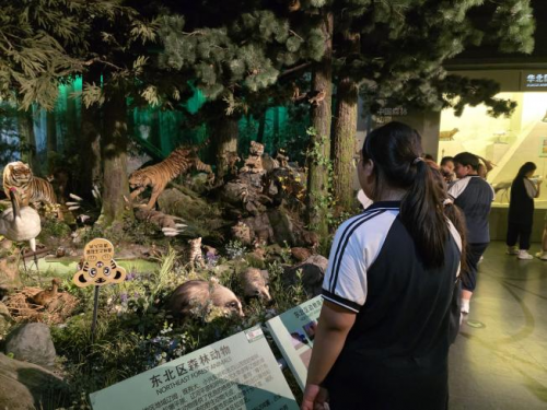 从“走出去”到“请进来”：一场联结成长与共享的“大手拉小手”